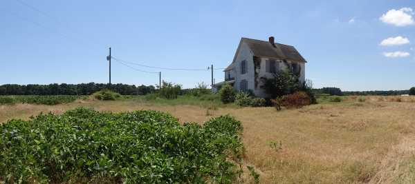 Area of Melson property in Accomack County, Virginia.