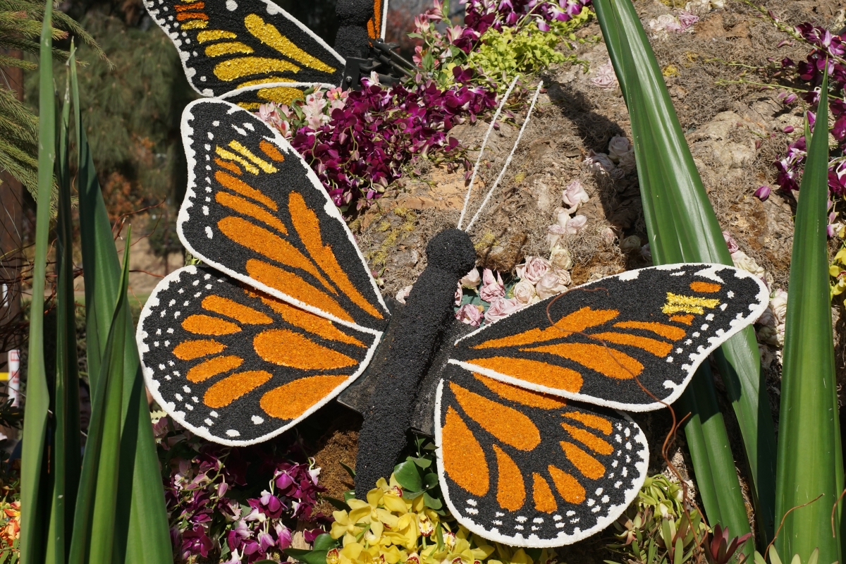 Closeup of a floral Monarch butterfly.